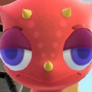 Meet your Posher, Meridyth